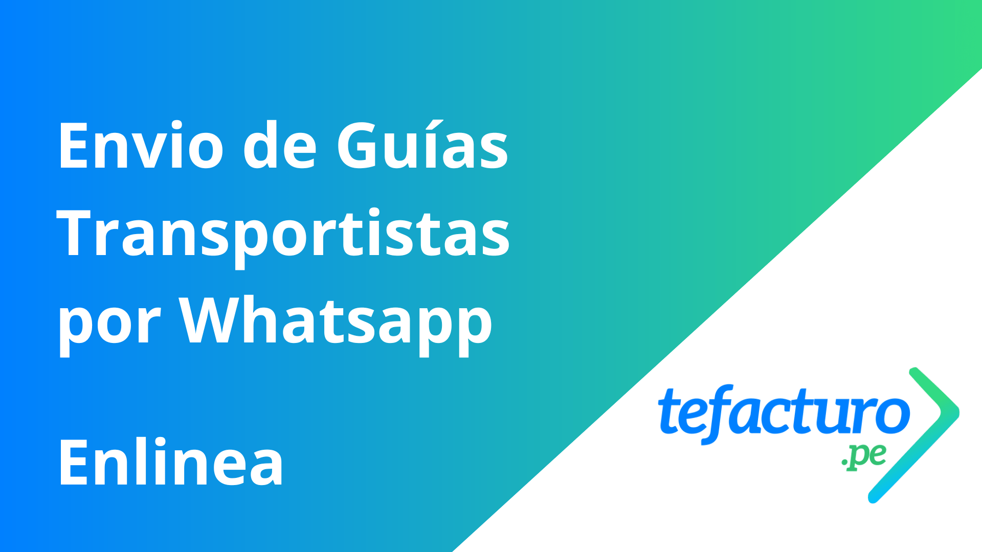Guías Transportista - Whatsapp